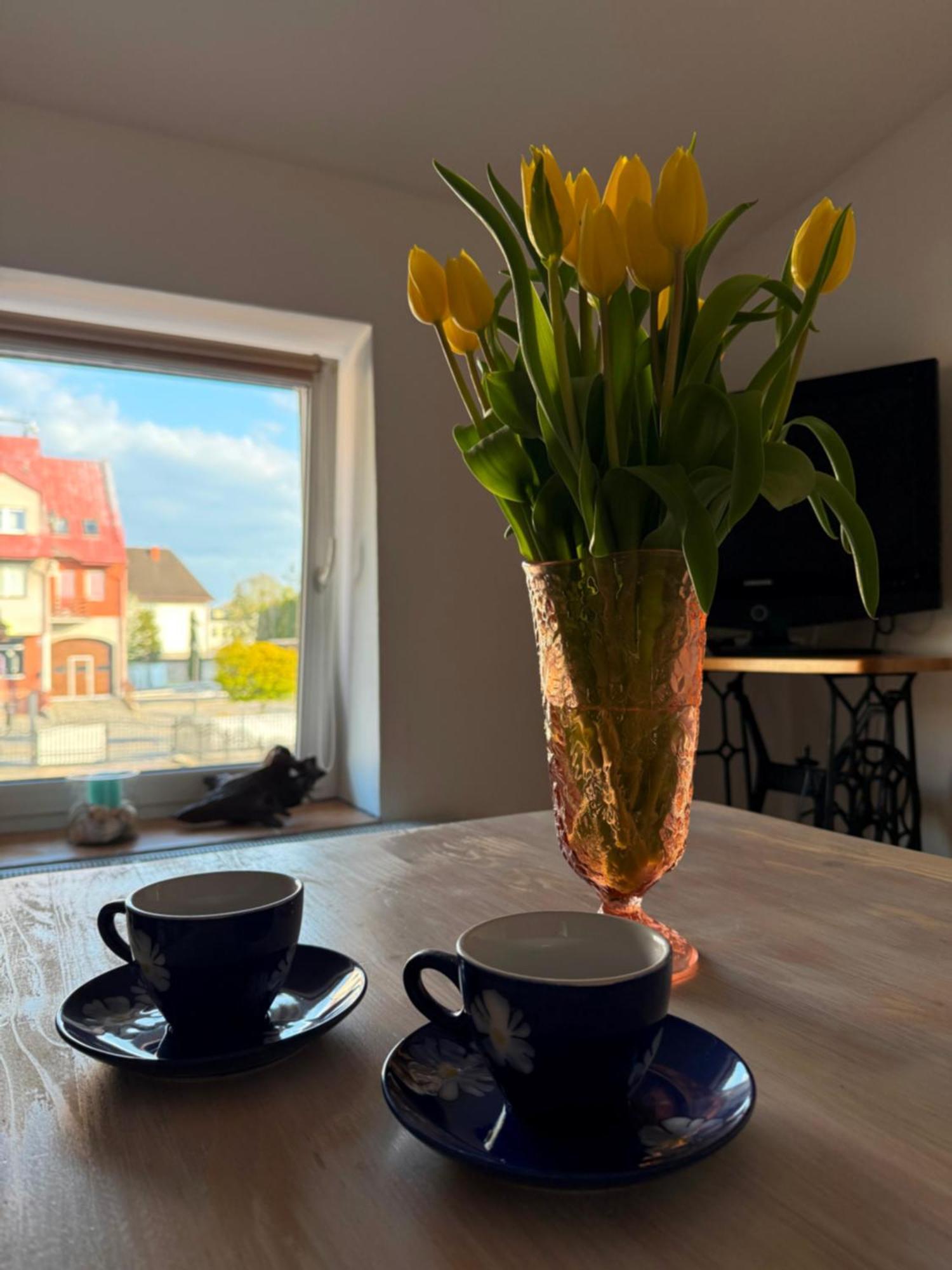 Studio dwupokojowe na Mostowej Augustów Zewnętrze zdjęcie